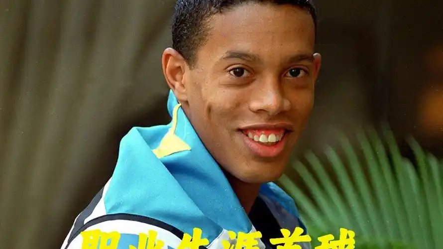 不仅是一项